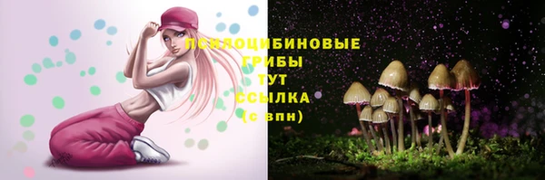 МДПВ Михайловка