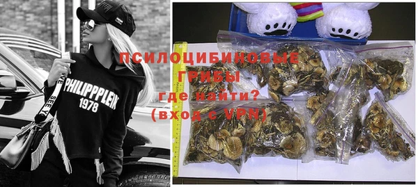 хмурый Михайлов