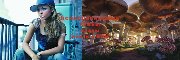 хмурый Михайлов
