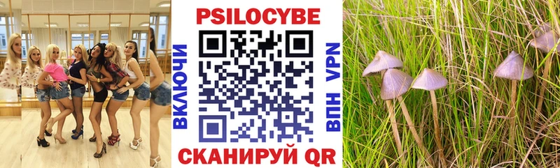 Псилоцибиновые грибы Psilocybe  Хабаровск 